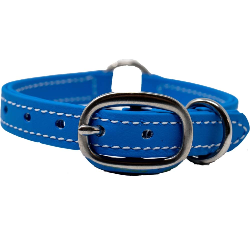 Juvenile Flat Dog Collar - Biothane