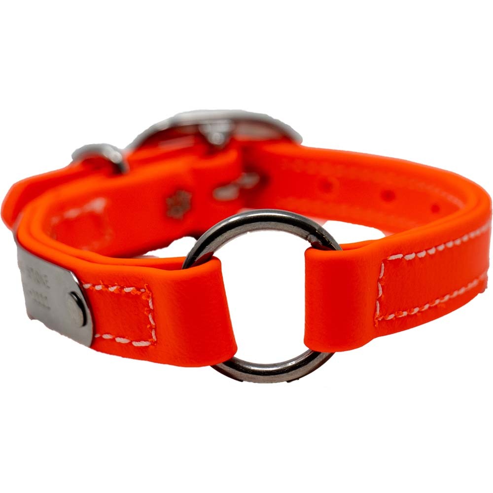 Juvenile Flat Dog Collar - Biothane