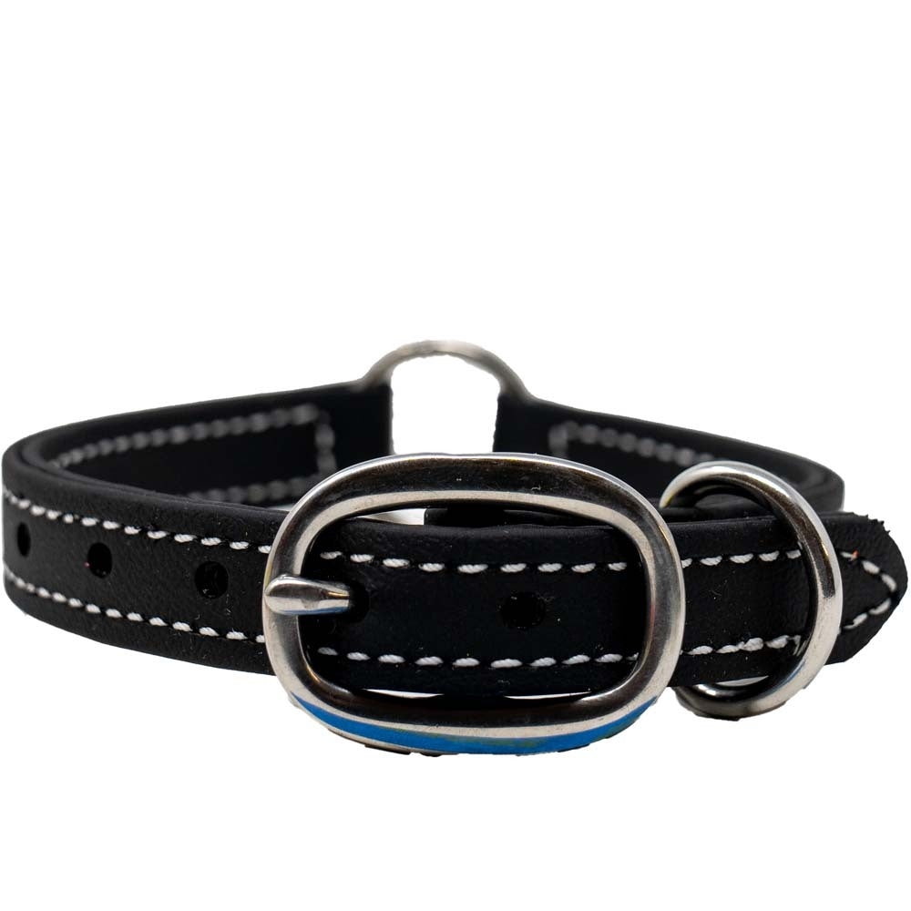 Juvenile Flat Dog Collar - Biothane