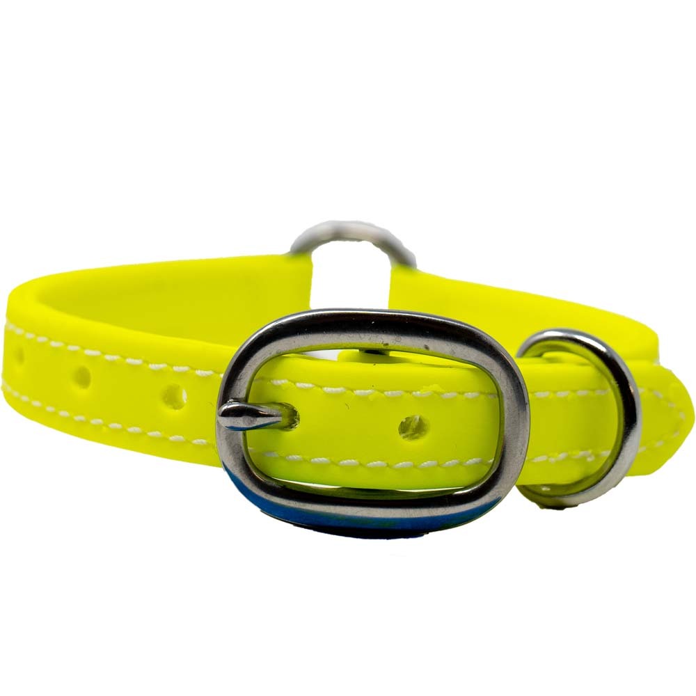 Juvenile Flat Dog Collar - Biothane