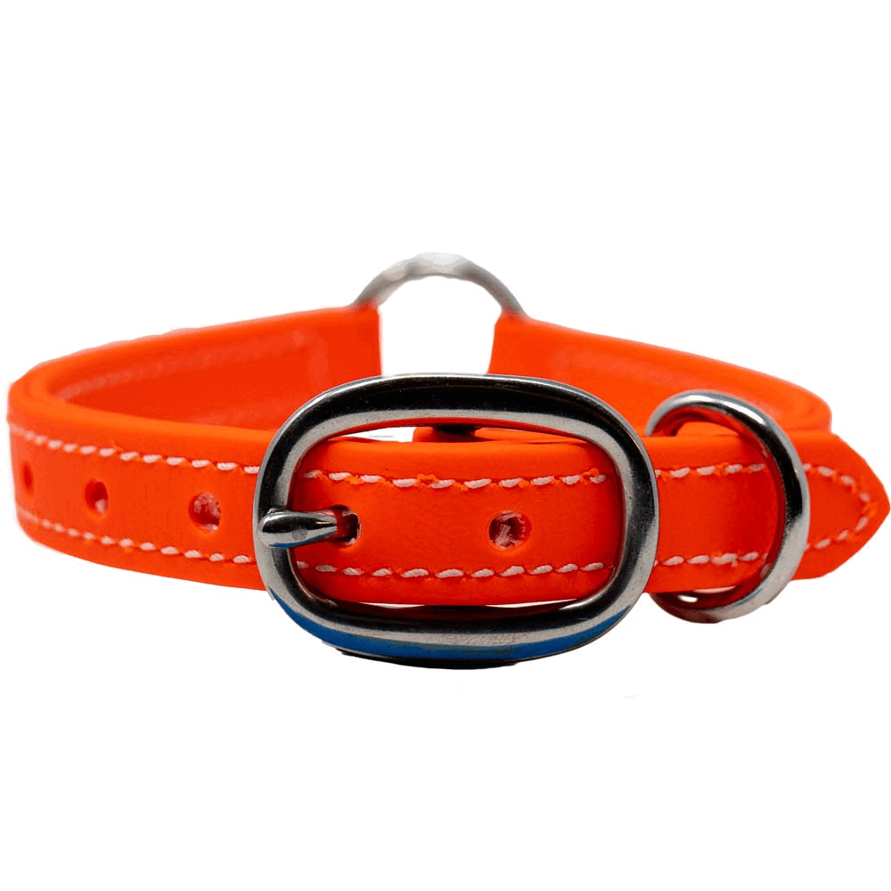 Juvenile Flat Dog Collar - Biothane