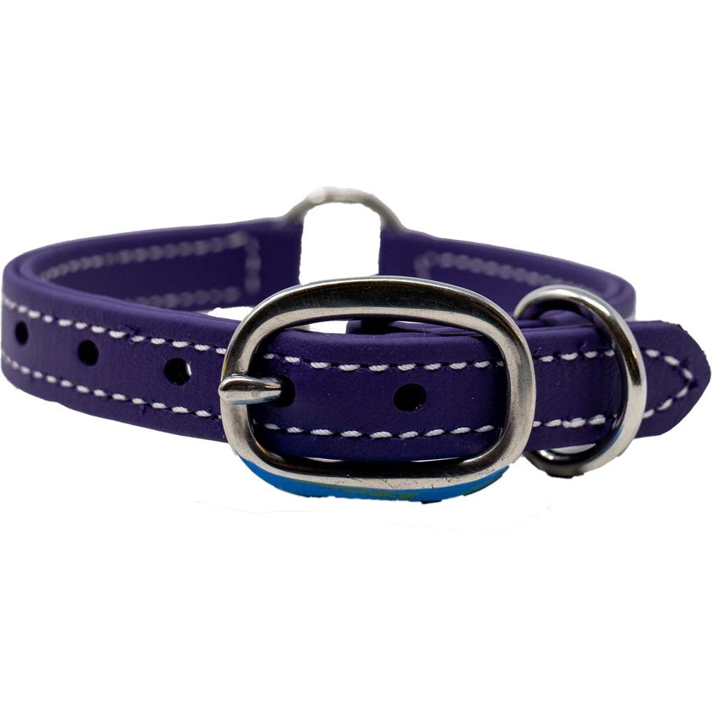 Juvenile Flat Dog Collar - Biothane