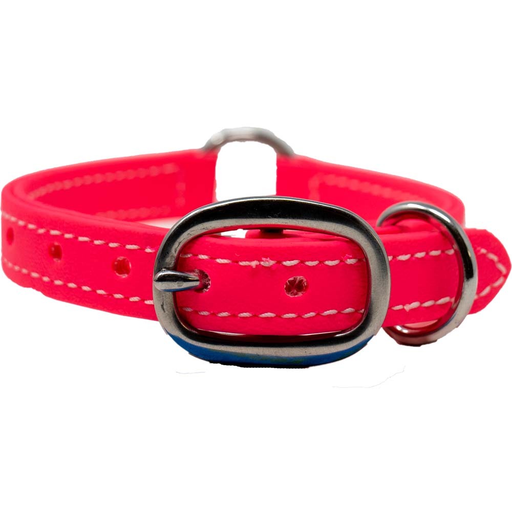 Juvenile Flat Dog Collar - Biothane
