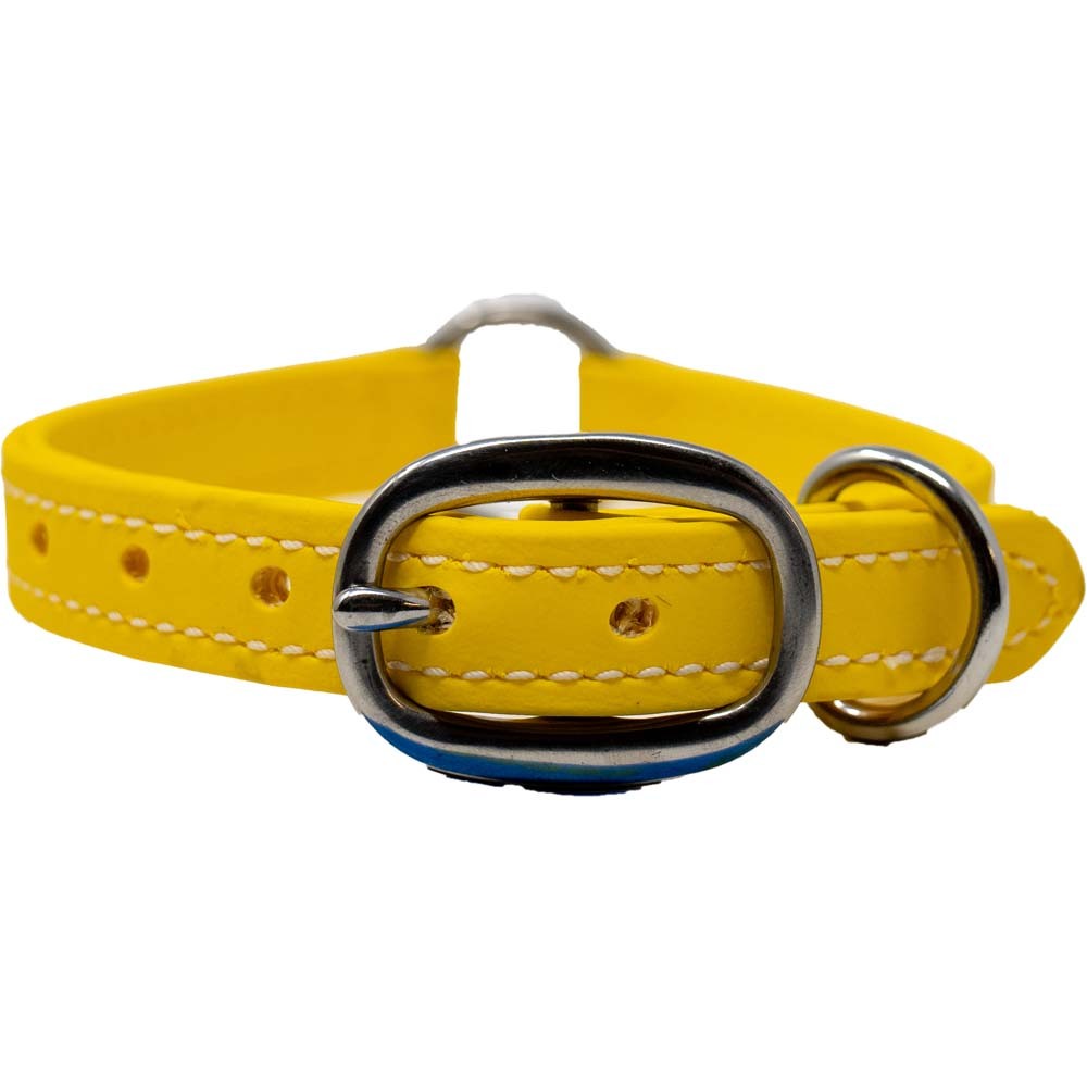 Juvenile Flat Dog Collar - Biothane