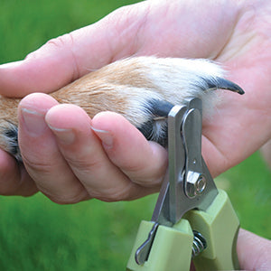 Safari Nail Trimmer for Dogs: Heavy-duty