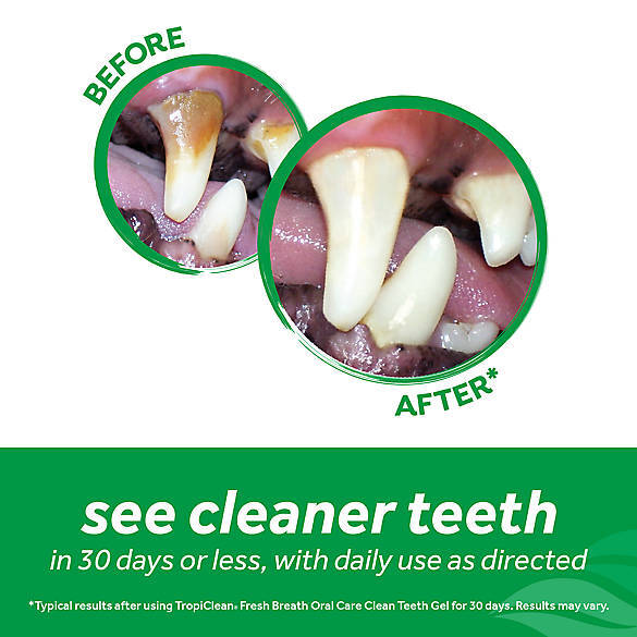 Fresh Breath No Brushing Clean Teeth Dental & Oral Care Gel for Dogs, 2oz.