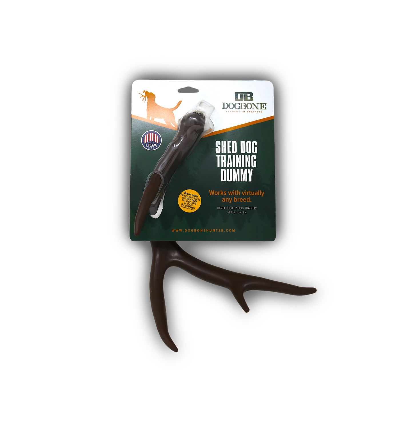 Shed Antler for Retriever Training