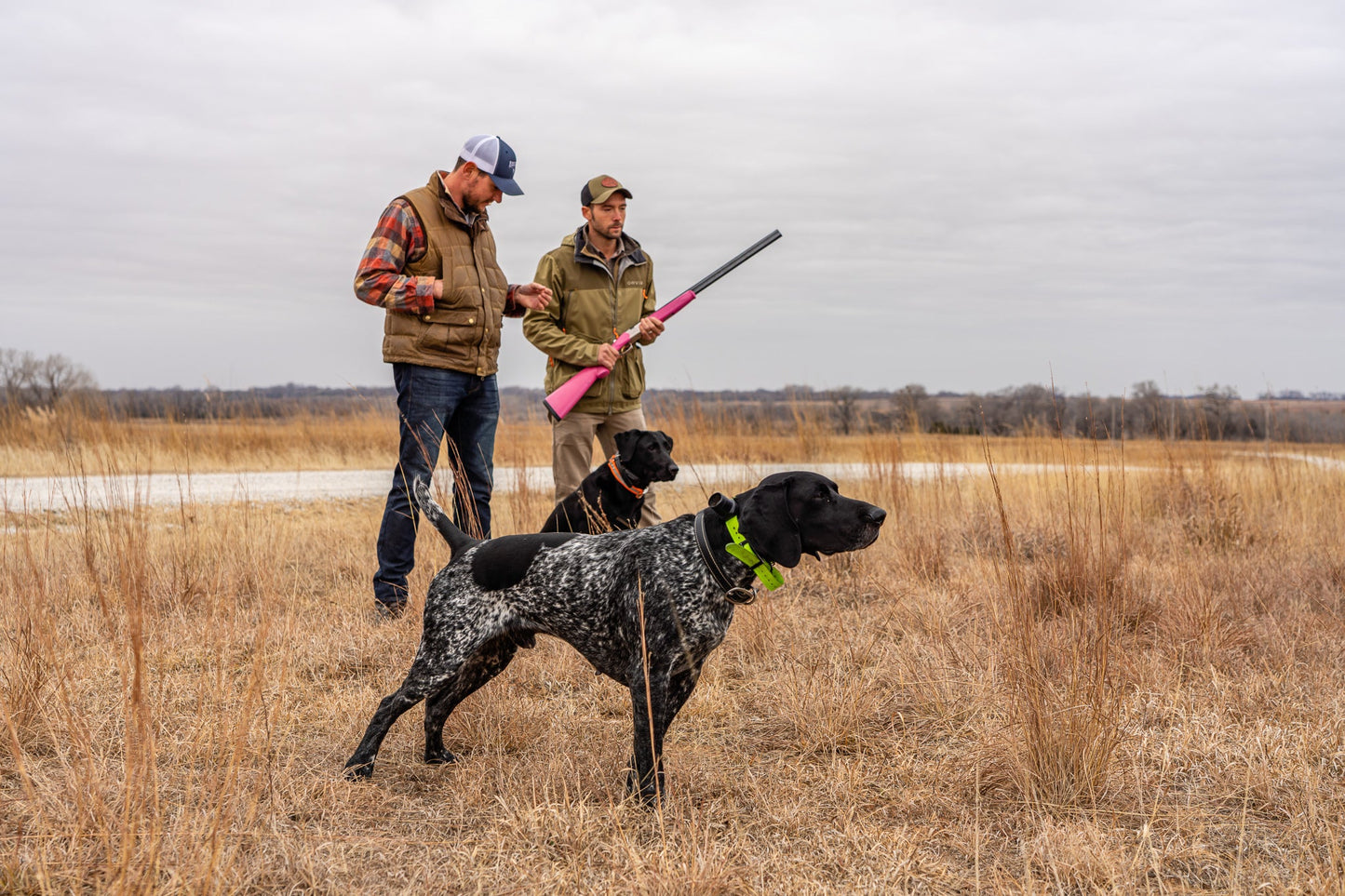 2026 - Lone Stone Retrieving & Versatile Dog Seminar - NEW YORK