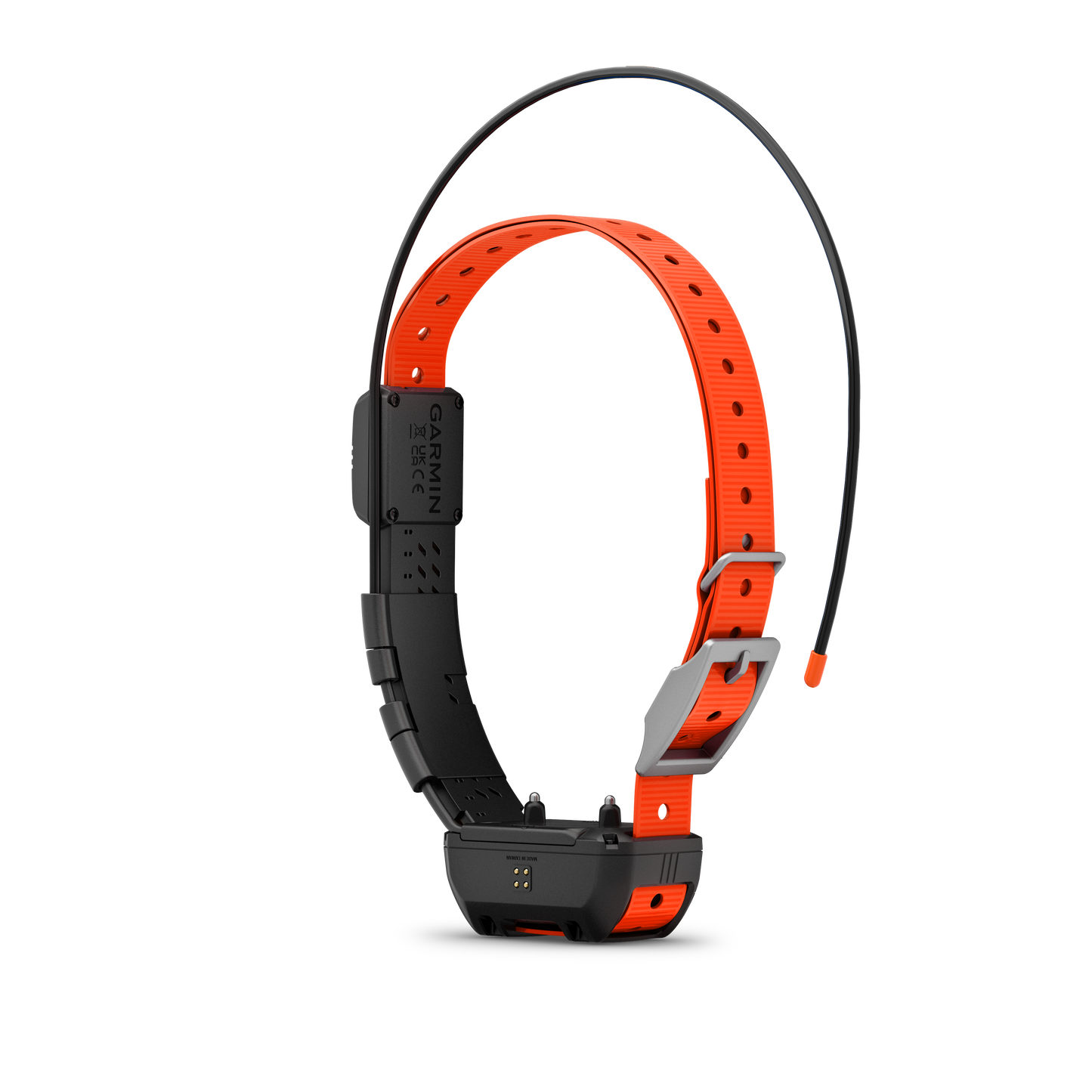 Garmin Alpha TT 25 Dog Collar