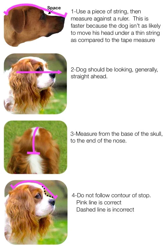 OutFox Field Guard Face Mask